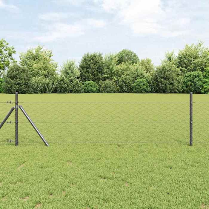vidaXL Clôture hexagonale 1x50 Acier 42005571