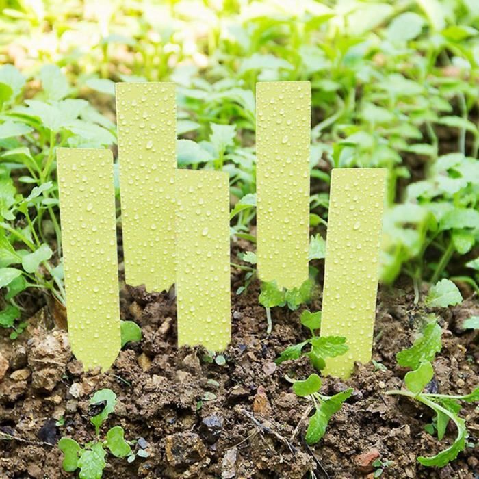 100 Pcs etiquettes De Jardin Classification Des Plantes De Jardinage etiq a1w 1X