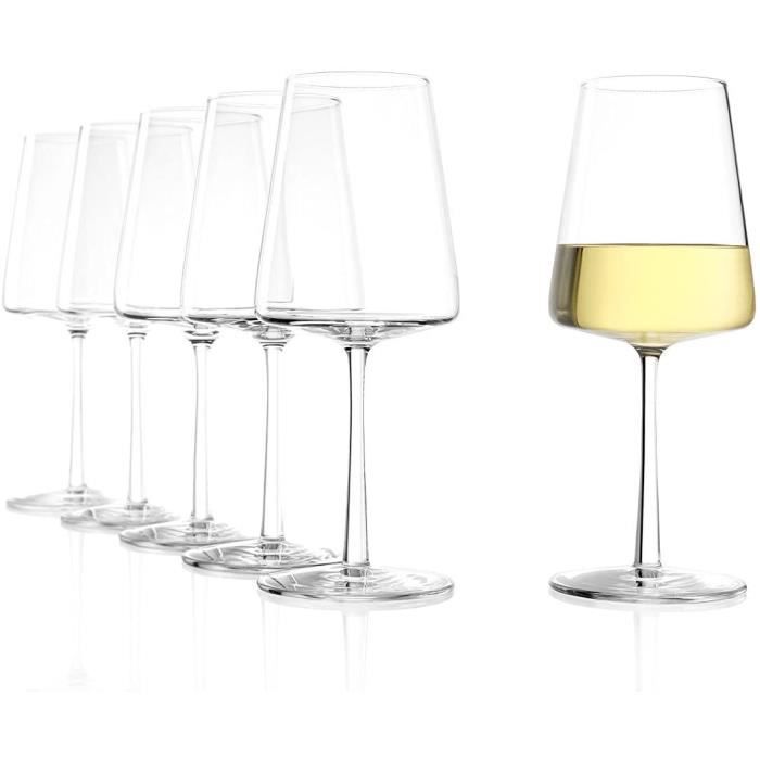 Stölzle Lausitz Verres à Bières Imperial Set De 6, 485 Ml – Verres Élégants Idéaux Pour Pils & Autres Bières – Verres En Cristal Stylés – Lavables Au Lave-Vaisselle & Fabriqués En