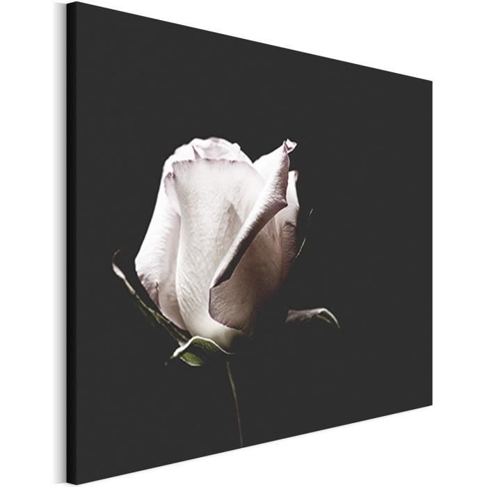 Impression Sur Toile Style Cocker Noir Et Blanc - Décoration Murale Moderne 20x30 Cm