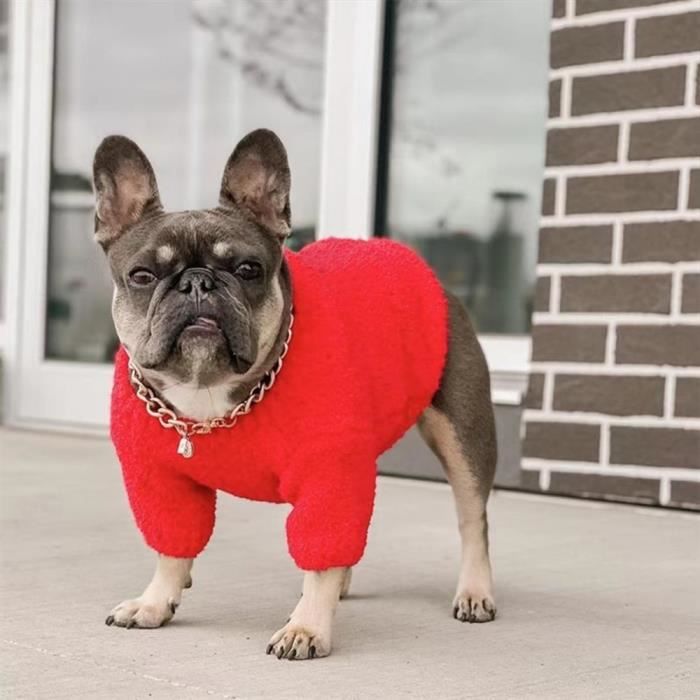 Blouson,Vêtements de styliste pour petits chiens, Chihuahua bouledogue  français, pull pour yorkshire, accessoires - Type Red-XL - Cdiscount