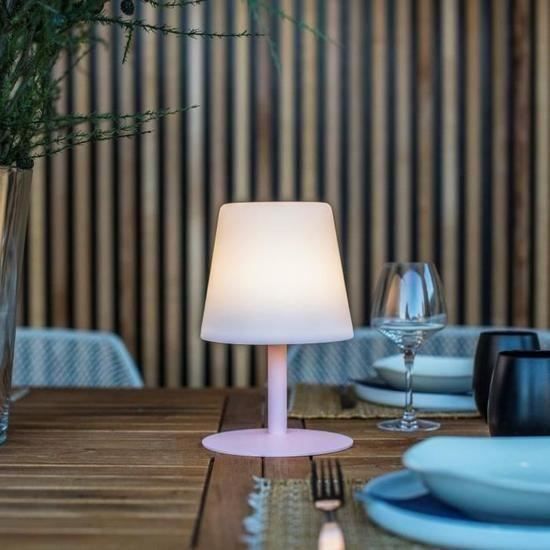 Lampe Exterieur Led Standy Mini Pink Pied Rose Achat Vente
