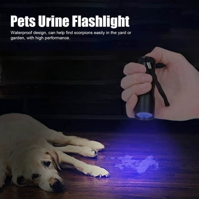 Lampe torche UV Détection des taches d'urine pour animaux de compagnie Lampe de poche ultraviolette Détecteur de lumière