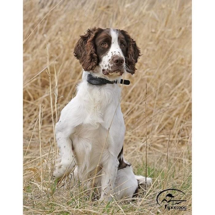 Comparer les prix de SD1225 - Collier de dressage portée 1200 m - SportDog