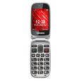 GSM CLAPET SENIOR 2G S560 GPS ROUGE TELEFUNKEN-1