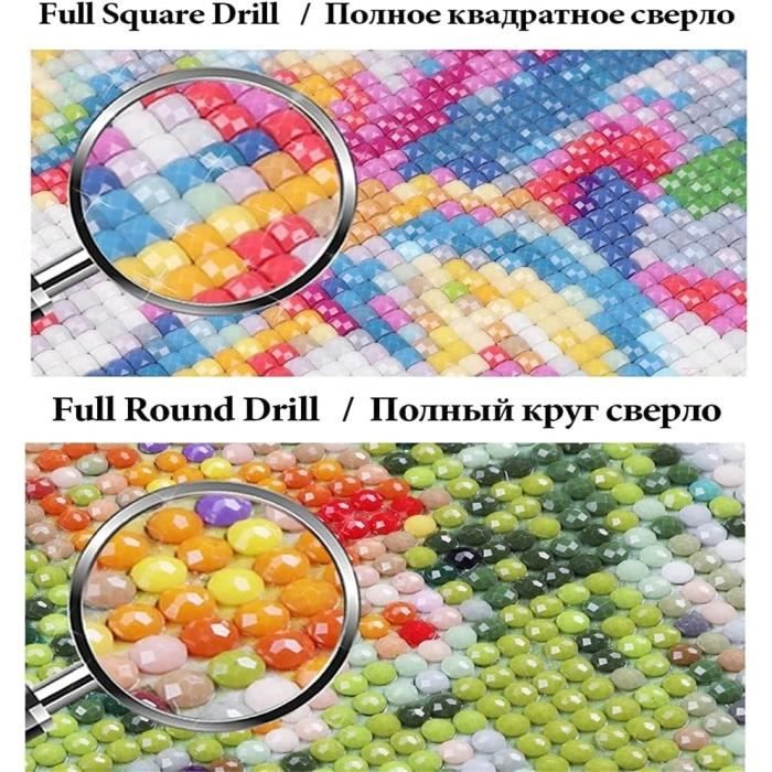 Broderie Diamant 5D Diamonds Painting Kit Complet Chien Bichon Frisé