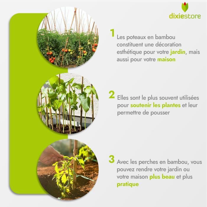 Lot de 100 bâtons de gravier - 60 cm x 5,5 mm - Vert - Tuteur en bambou - Tuteur pour plantes