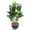 Plante Artificielle Dieffenbachia Feuilles Brunes-40 cm