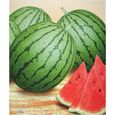 Xiaoyu Cadeau Melon Graines 20 De Légumes Biologiques-0