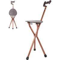 Qiilu chaise de marche Chaise pliante portative en métal de canne de voyage de tabouret de siège de chaise de bâton de marche