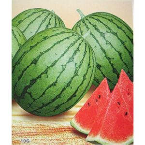 GRAINE - SEMENCE Xiaoyu Cadeau Melon Graines 20 De Légumes Biologiques