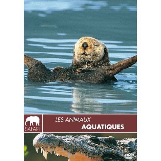Dvd Les Animaux Aquatiques Cdiscount Dvd Dvd Les Animaux Aquatiques Cdiscount Dvd