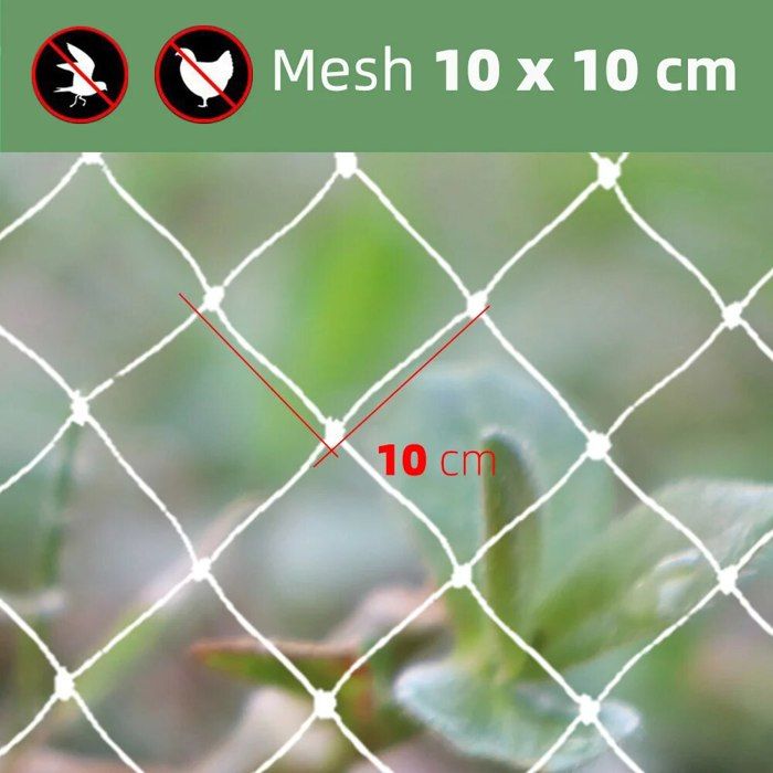 Filet de siège arrière de voiture à 2 couches, pochette en maille