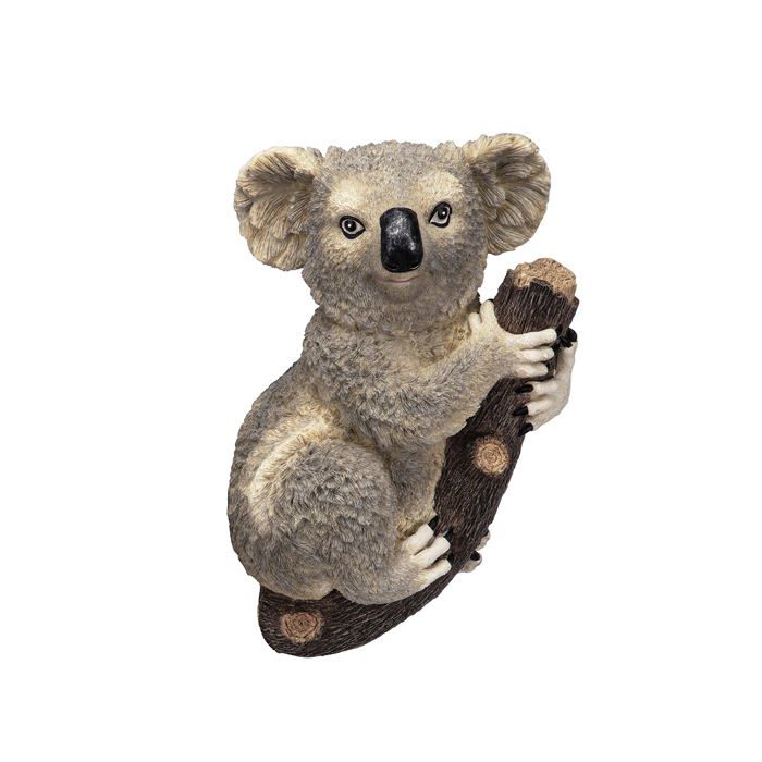 Premium Vector | Koala is climbing
