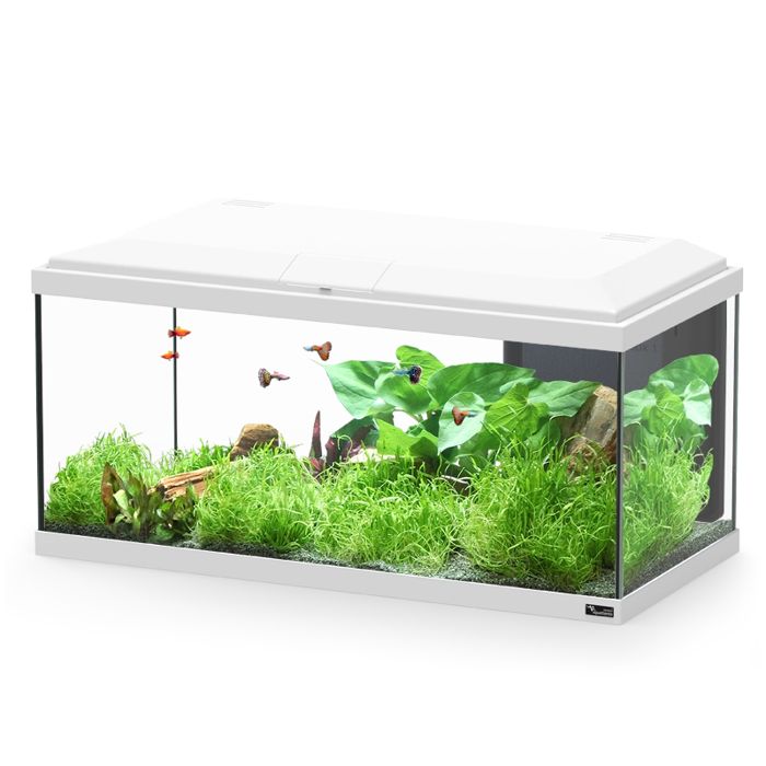Meilleurs prix pour Aquarium poisson Explorer Brussels Bio 105L blanc - Aquatlantis Blanc