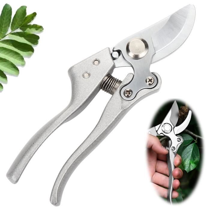 Sécateur, Coupe-Branche D'Arbre Bonsaï De Jardin, Sécateur Jardinage