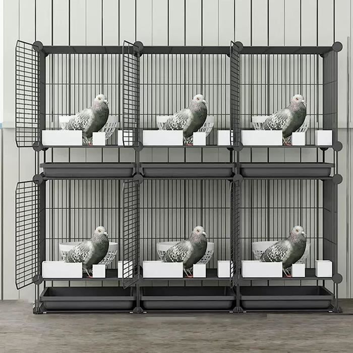 Cage de Transport pour Pigeon, Cage À Volaille Galvanisée, Adaptée Aux