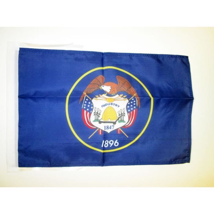Drapeau De Voiture Texas 45x30cm – AZ FLAG – Carflag Texan USA