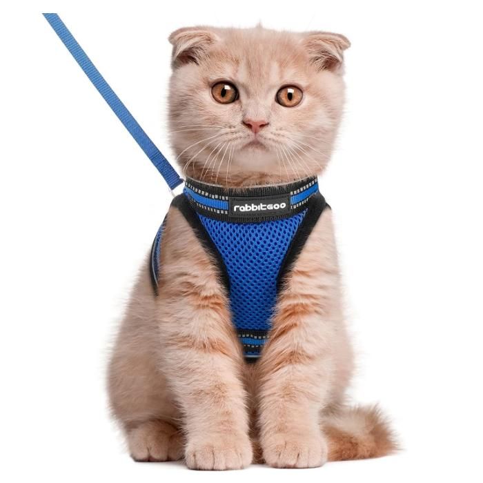 Meilleurs prix pour Rabbitgoo Harnais Chat Harnais pour chaton/petit chien Harnais Respirant et Bande Réfléchissante réglables -Taille M -Bleu