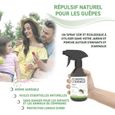 RepellShield Spray Anti Guêpe Naturel - Protection Intérieur & Extérieur, 250 ml-2