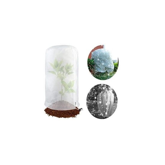 Voile D'Hivernage Plantes 60x80cm - Housse Protection Arbre Olivier Tomate Citronnier - Sac Végétal