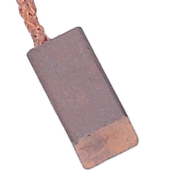 EMSea Lot de 2 paires de balais de moteur en carbone 6,3 x 10 x 15 mm compatibles avec Flex L1000 L1001 125/387479