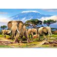 Puzzle 1000 pièces - CASTORLAND - Kilimanjaro Morning - Paysage et nature - Adulte - 1000 pièces-0