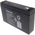 Batterie Plomb (AGM) 6 V 7.5 Ah Panasonic Blei 6V 7,5Ah-0