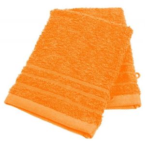Coton Pompei Santens PIO Eponge Lot de 2 Gants de Toilette 2X1622