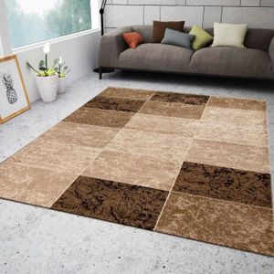 Tapis De Salon 200x290 Achat Vente Tapis De Salon 200x290 Pas