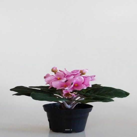 Saint Paulia Artificiel En Pot H 16 Cm Tres Fleuri Rose Achat Vente Fleur Artificielle Cdiscount