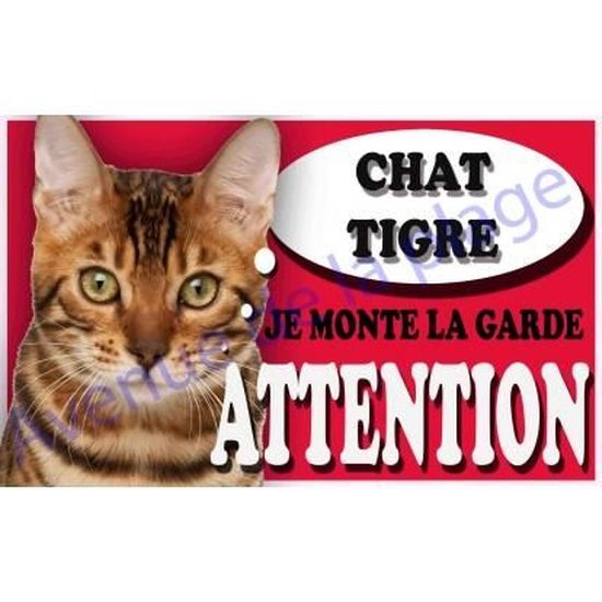 Plaque Attention Je Monte La Garde Chat Tigre Multicolore Cdiscount Animalerie