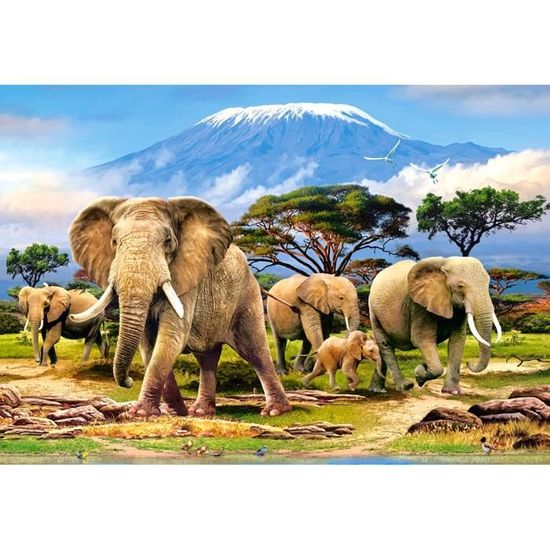 Puzzle 1000 pièces - CASTORLAND - Kilimanjaro Morning - Paysage et nature - Adulte - 1000 pièces