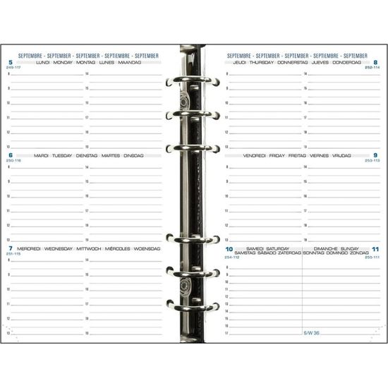 EXACOMPTA Exatime 17 Block - Kariert 44 Seiten