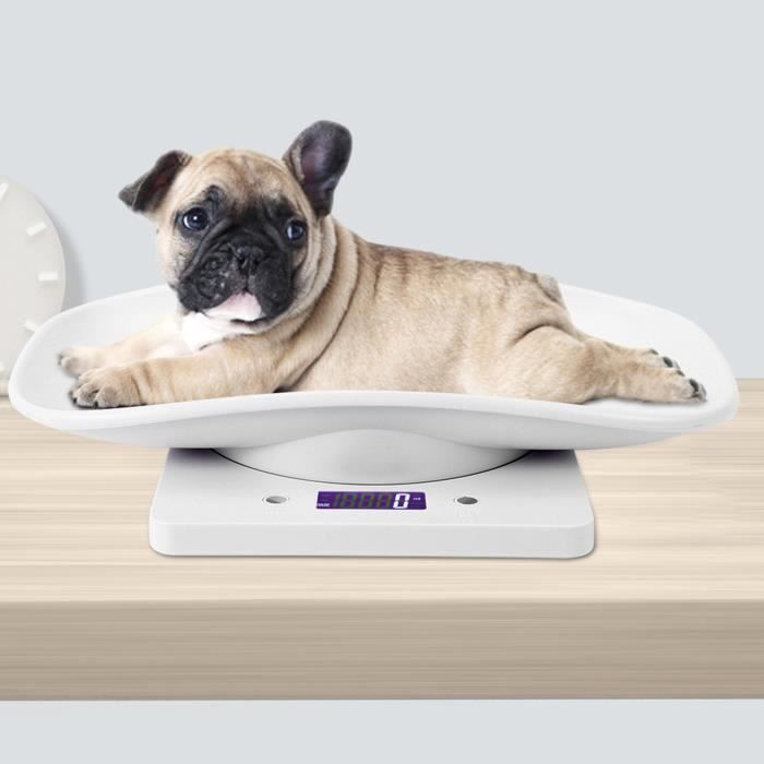 Zerodis Balance électronique 10kg / 1g petite échelle de poids numérique pour animaux de compagnie pour chats chiens outil de