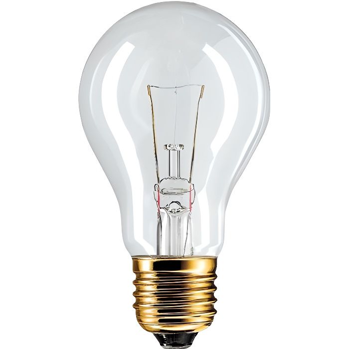Ampoule E27 A60 60w 24 volts