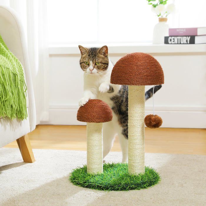 Comparer les prix de Griffoir Chat Poteau Sisal à Griffer en Forme de Champignon pour Chaton
