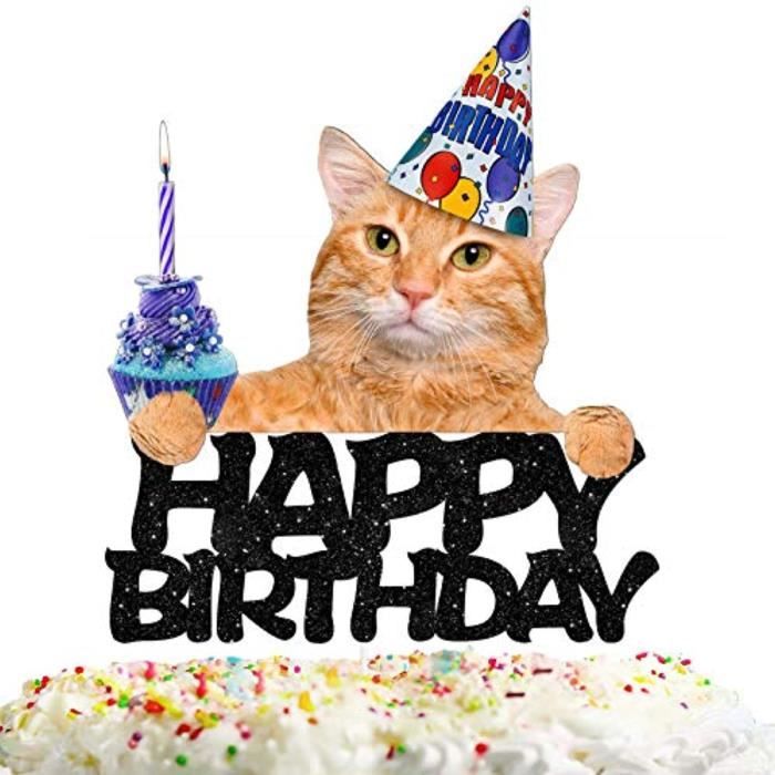 Support A Decorer LOMXI Chat joyeux anniversaire gâteau Topper décor chat  anniversaire thème choix pour animaux de compagnie décorat - Cdiscount  Maison