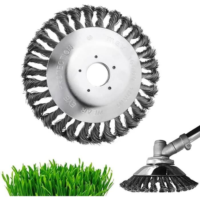 Lillà Cinese Syringa Vulgaris 'Souvenir De Louis Spaeth' - Vaso Ø18 Cm, Pianta Da Giardino Profumata - Foto 6