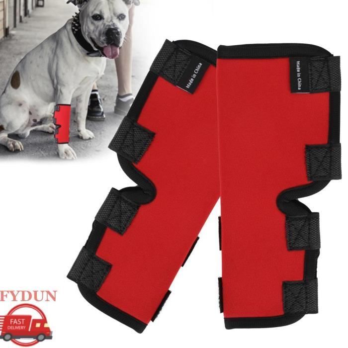 Meilleurs prix pour FYDUN Genouillère chien Soutien articulation Chien Blessure Genou Convalescence