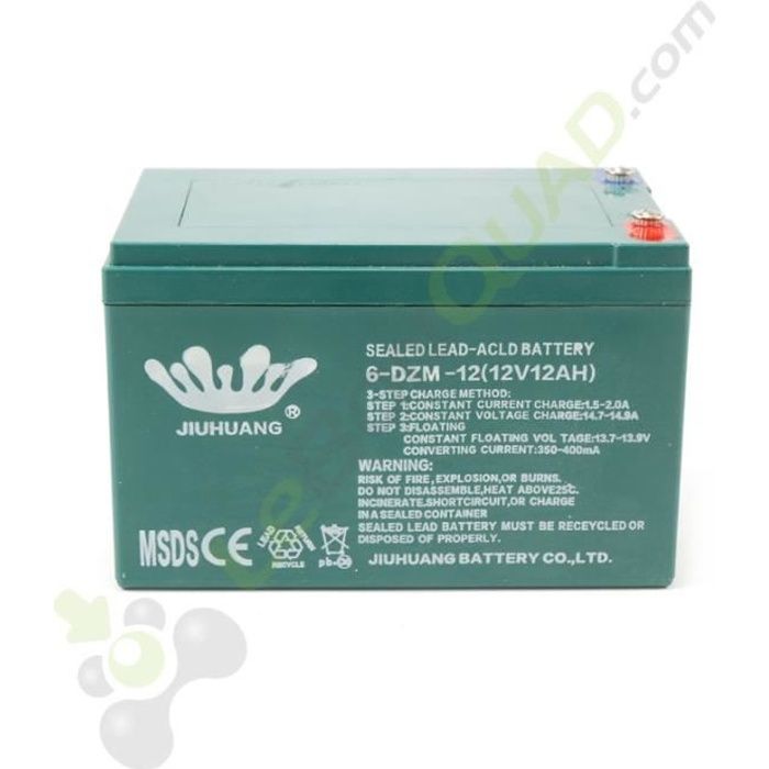 Batterie 6 Dzm 12 12v12ah De Quad Electrique Achat Vente