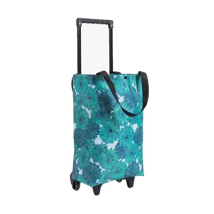 Chariot De Courses Caddie Pliable - Haute Qualité, Solide - 2 Coloris Disponibles