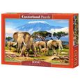 Puzzle 1000 pièces - CASTORLAND - Kilimanjaro Morning - Paysage et nature - Adulte - 1000 pièces-1