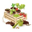 Coffret de jardinage écologique pour enfants - CLEMENTONI - Jardin et potager - Manuel inclus-1