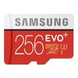 Samsung EVO Plus Carte mémoire avec adaptateur SD MicroSDXC UHS-I Classe 10 256 Go-1