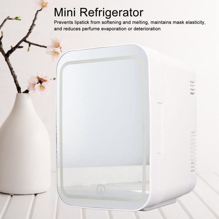 Mini Refrigerator Portable Cool Hot Dual Use 4L Mini Food Refrigerating