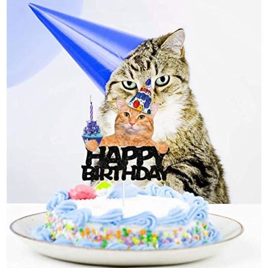 Support A Decorer Lomxi Chat Joyeux Anniversaire Gateau Topper Decor Chat Anniversaire Theme Choix Pour Animaux De Compagnie Decorat Cdiscount Maison