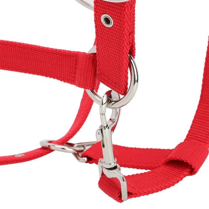Mors Cheval Rêne Réglable Rouge - Harnais Avec Coussin Doux - Taille M - Noir/Rouge - Pour Équitation Confort
