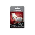 Samsung EVO Plus Carte mémoire avec adaptateur SD MicroSDXC UHS-I Classe 10 256 Go-3