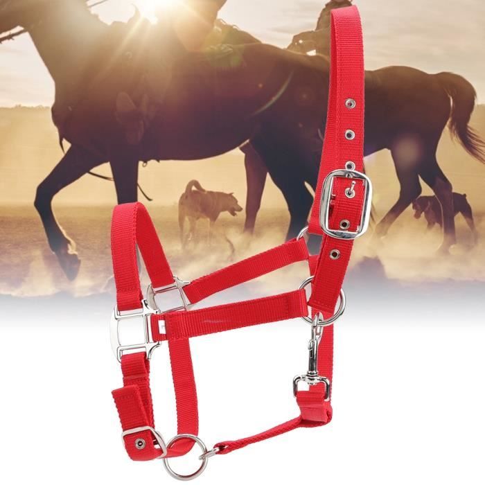 Bride cheval effet crocodile : Devis sur - Bride cheval en cuir vernis